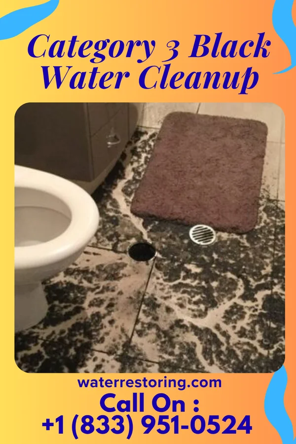 Category 3 Black Water Cleanup in Goose Creek, KY