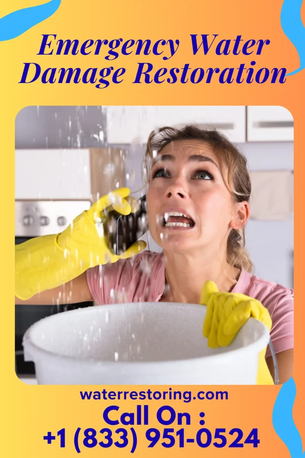 Emergency Water Damage Restoration in Goose Creek, KY