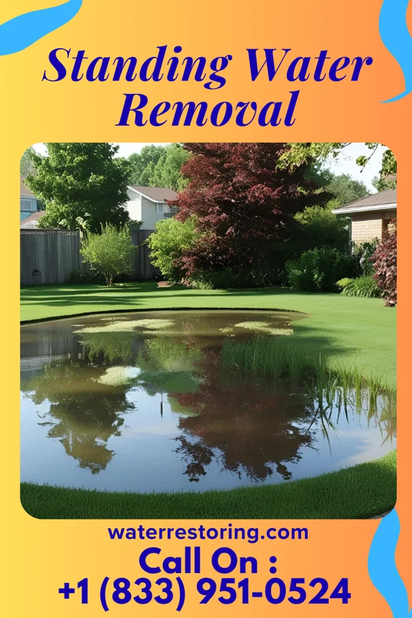 Standing Water Removal in Goose Creek, KY